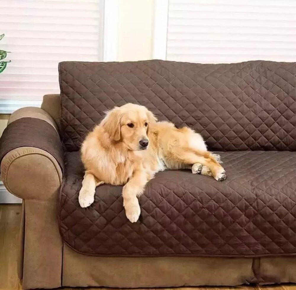 Forro Protector Sofa Muebles 2 Puestos - Imagen 4